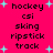 A bright pink background with cyan plus signs and black text listing 'hockey', 'csi', 'sking', 'ripstick', 'track' in two