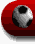Red circular background with a black-and-white soccer ball in motion, displayed across showing rotation
