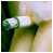 A hand holds a lit cigarette with green and white packaging against a blurred background, followed by six variations of text on black backgrounds.