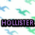 Pixelated image with repeating blue and green bird silhouettes on white background, featuring three purple text blocks: HOLLISTER, MALE, MODEL<3.