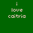 Green background with repeated text 'i love caitria' in light pink, each instance partially overlaid by a blue rectangular block.