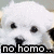 Pixelated white animal face with dark eyes and nose, black text reading 'no homo' on a black bar at the bottom.