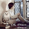 A person with dark hair sits by a window holding an owl on their arm, with text below reading "Oh, Draco..." and "Wherefore art thou (Draco)?"