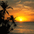 Sunset scene with palm trees and ocean on left, blue text 'ready for summer' in four on right
