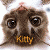 nine identical kitten faces with the word 'Kitty' in different colors below each face