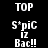 Pixelated text 'TOP', 'S*piC', 'IZ', 'Bac!!' displayed in white on alternating black and blue backgrounds.