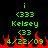 Green and red pixelated text and symbols on black background with two identical side-by-side sections showing 'i', '(333', 'Kelsey', '(33', '4/22/09', and red flame shapes.