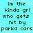 A static digital image with cyan background and dark green text repeating 'im the kinda grl who gets hit by parkd cars' in a pattern