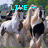 A pixelated image of a horse with black and white coloring, set against green foliage background.