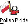 Pixelated cartoon character holding Polish flag with red text 'badass buddy .com' and repeated 'PolishPride' label on gray background.