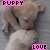 Animated sequence of two puppies lying on a gray surface with pink text overlays reading 'PUPPY' and 'LOVE'.