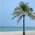 Pixelated beach scene with a palm tree centered against a light blue sky and turquoise water horizon.