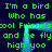 Green pixelated text on dark blue background repeats 'I'm a bird who has cool Friends and we fly and we fly high yoo' with a glowing cyan rectangular frame overlay.