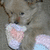 A pixelated dog holds a teddy bear with red text reading DON'T STEAL MY TEDDY!!! on the right side.