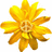 A pixelated yellow flower with multiple layered petals radiating from a central brown core on white background.