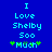 Blue background with light blue text reading "I Love Shelby Soo Much" and green star symbols on both sides of the word "Much".