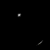 animated golden-brown patterns on black backgrounds, showing sequential transformations of symmetrical shapes with reflective highlights