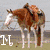 A horse with a saddle, rider in motion, and text elements on colored backgrounds.