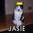 A cat wearing a yellow crown sits on a wooden floor with text below it, next to a tombstone and pink text.