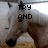 A horse's head appears in four with changing text overlays: 'TRY AND', 'LOVE ME!!', and 'CAPICE?!?'