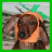 iconhell_gorgeousdivachic_HappyHalloweiner
