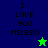 A split-screen digital image with four quadrants displaying text and star symbols on colored backgrounds.