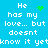 Blue background with white pixelated text reading "He has my love... but doesn't know it yet" and green heart or star symbols in different positions.