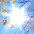 A static pixelated image with a bright white star-shaped cutout at the center, surrounded by a blue sky background with scattered pastel-colored branches and leaves.