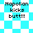 Pixelated text 'Napolian kicks butt!!!' appears on a blue and white checkered background with varying pattern arrangements.