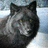 A black cat with yellow eyes lies on a light surface, its head turning slightly left to right across frames.