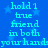 Blue background with light blue stars and repeated cyan text reading "hold 1 true friend in both your hands" arranged in a pattern