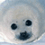 A pixelated circular icon with a white face, black eyes, and dark blue mouth area; text overlays change across frames.