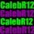 Green and purple pixelated text alternates across four on a black background, forming a repeating pattern of 'CalebR12' in distinct color pairs