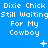Blue background with repeated white pixelated text 'Dixie Chick Still Waiting For My Cowboy' and small star-like symbols in a pattern