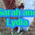 A split-screen image with a photo of two people on the left and a heart-shaped graphic on the right, featuring text overlays.