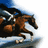 A pixelated image of a horse and rider on a pink background with blue text reading BEEN THERE JUMPED THAT.