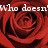Red roses with white text reading "Who doesn't love getting ROSES?" on a gray background.