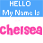 Blue rectangular display 'HELLO My Name Is' text above pink pixelated letters spelling 'chelseachelsea' in a repeating pattern