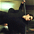 A split-frame contact sheet showing a Matrix-themed animated icon with two sampled frames: left frame depicts Neo in black trench coat holding a glowing yellow object, right frame displays green text "Original Icons .com" on dark background.