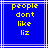 Blue background with white lines and yellow pixelated text reading 'people dont like liz' in four centered lines