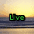 Four quadrant with distinct backgrounds: beach sunset, rainbow gradient, black heart outline, and solid gray