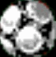 A circular icon with a white and gray abstract pattern shrinks in size across while a white 'Gallery' text overlay appears and moves across the image