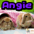 Animated sequence showing two brown rabbits in a basket with text overlays reading "Angie Is The Best".