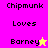 Pixelated text and star symbols on colored backgrounds: Chipmunk Loves Barney with yellow star on magenta, Chipmunk Loves Barney with pink star on yellow.