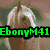 six horse images with overlaid text in various colors and fonts, each image showing a different horse in different poses and backgrounds