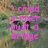 Pixelated text in bright pink on a blurred greenish background, with visible animation changes between frames.