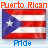Two side-by-side pixelated Puerto Rican flag icons with text above and below, one in orange tones the other in blue tones.