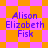 Pixelated text displays 'Alison Elizabeth Fisk' over alternating orange and pink backgrounds with diamond and square patterns.