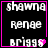 Four identical display text 'shawn', 'renge', and 'briggs' with a pink heart symbol, each bordered in bright pink on black background