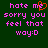 Green background with pink pixelated text reading 'hate me sorry you feel that way:D' and an orange heart symbol replacing the letter 'e' in 'me'.
